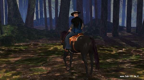 fabi_01-easyrider002