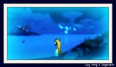 Fishin in Zangarmarsh
