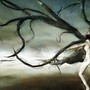 Branching Out