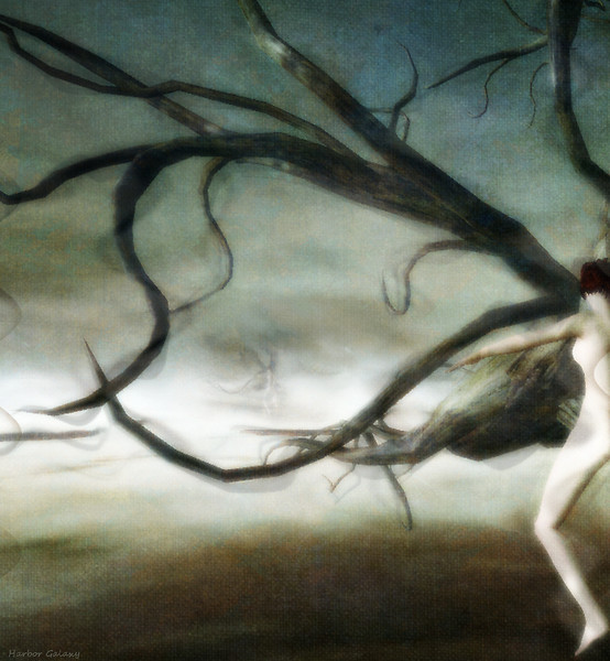 Branching Out
