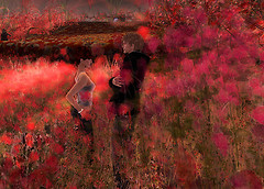 The Flowers of Romance