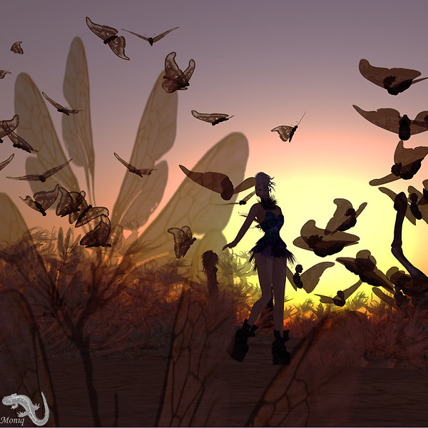 Flight