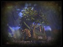 The old house beside an apple tree