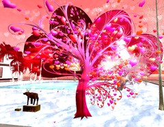 Valentine Wishes