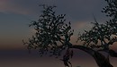 The Sunset of Surreal 07