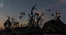 The Sunset of Surreal 04