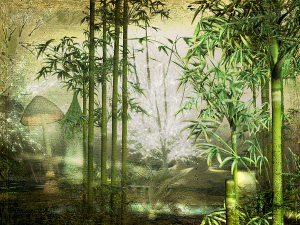 Bamboos