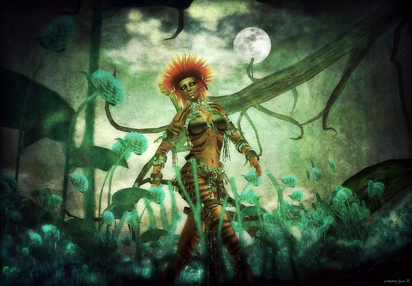 Moonlight walk