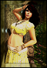 Dandelion 1