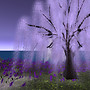 Elf Forest - Garden of Spirits