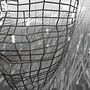 Metamorphoses 1