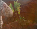 At Rest