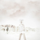 Desert Wind