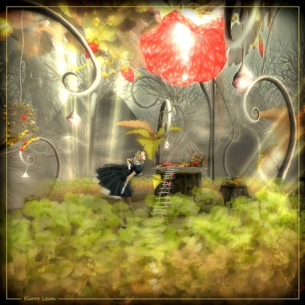 Dans le jardin d'Alice