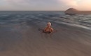 Snapshot_437