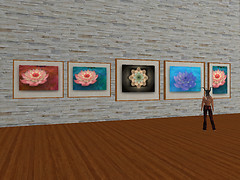 QT Eshi flower photos in ISM Shop