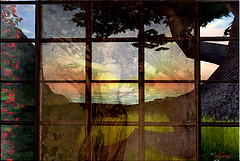 Lady in the Window