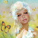 Flower and Butterfly