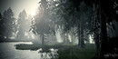 Morning haze