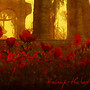 Koinup Cover on Facebook #3