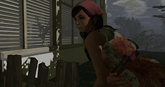 Snapshot_221