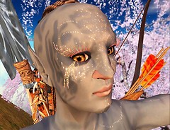 Snapshot_009