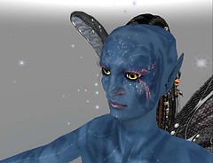 Snapshot_011