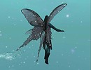 Snapshot_012