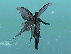 Snapshot_012
