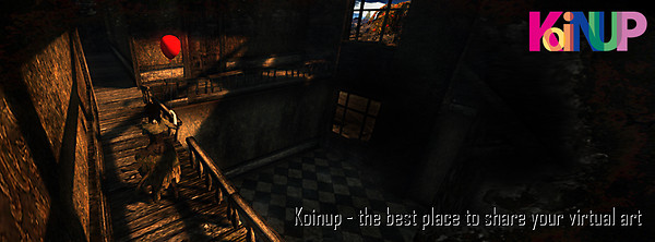 Koinup8
