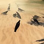 3D Crow - It's in the sound