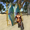 http://maps.secondlife.com/secondlife/Arcachon/9/206/21 - syrah.xue
