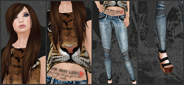 Eye of the Tiger collage
