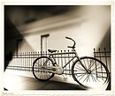 MayFair  bicycle