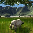 http://maps.secondlife.com/secondlife/Cosmo/72/188/23 - epernay.perian