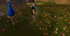 Easter 2012 - 3_001