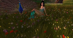 Easter 2012 - 4_001