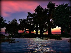 With A New Day Brings New Hope