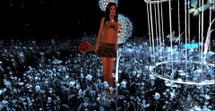 Humanoid 1_001