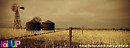 Koinup cover photo 2