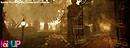 Koinup cover photo 1