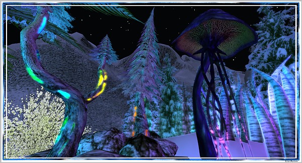 mystic skate pond 18