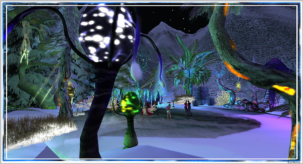 mystic skate pond 11