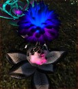 Unknown Flora