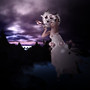 flying in the purple night