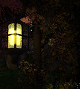 Night Time Lamp Post