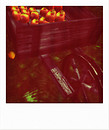 Wheel Barrow With Apples