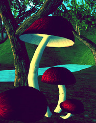 Mushrooms