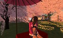 Snapshot_002