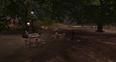 Postcard from Dolphin Viewer 3. - anatoliy.learner